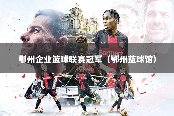 鄂州企业篮球联赛冠军（鄂州蓝球馆）