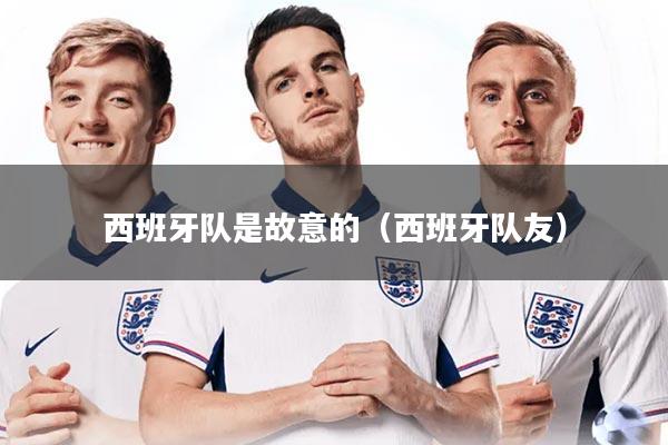 西班牙队是故意的（西班牙队友）