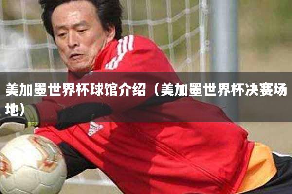 美加墨世界杯球馆介绍（美加墨世界杯决赛场地）