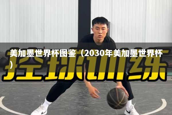 美加墨世界杯图鉴（2030年美加墨世界杯）