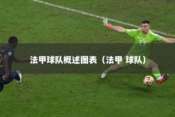 法甲球队概述图表（法甲 球队）