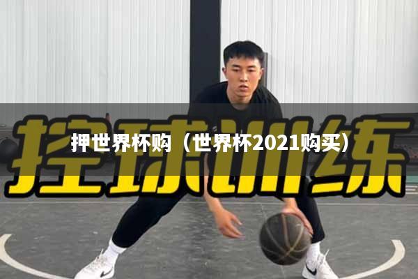 押世界杯购（世界杯2021购买）