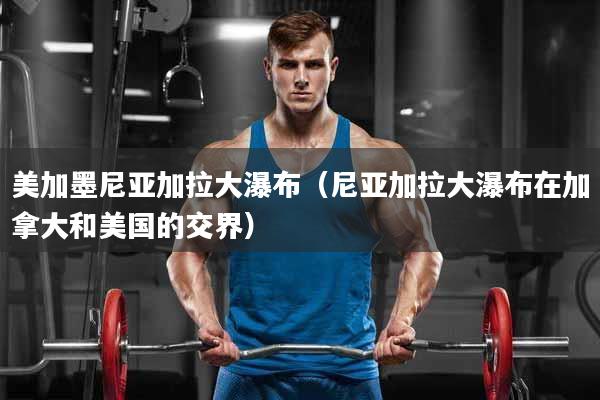 美加墨尼亚加拉大瀑布（尼亚加拉大瀑布在加拿大和美国的交界）