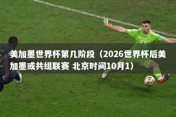 美加墨世界杯第几阶段（2026世界杯后美加墨或共组联赛 北京时间10月1）