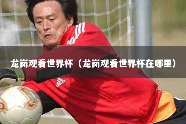 龙岗观看世界杯（龙岗观看世界杯在哪里）