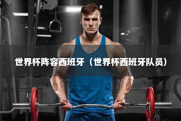世界杯阵容西班牙（世界杯西班牙队员）